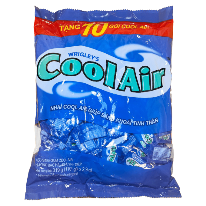 CoolAir Mint Flavored Chewing Gum 319g