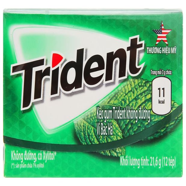 Trident Ice  Peppermint Flavor Chewing Gum